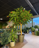 Pommier artificiel de 240 cm avec des pommes rouges réalistes dans un pot marron, entouré de diverses plantes vertes en pot dans une salle d'exposition moderne et bien éclairée avec portes et fenêtres vitrées. Cette impressionnante pièce d'intérieur en arbre artificiel donne à n'importe quelle pièce un aspect vibrant et naturel.