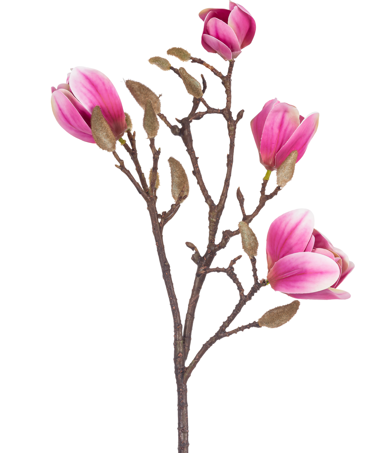 La Fleur Artificielle Magnolia 50 cm rose est une branche de magnolia artificielle marron avec diverses fleurs roses et blanches et des bourgeons duveteux, représentés sur un fond blanc.