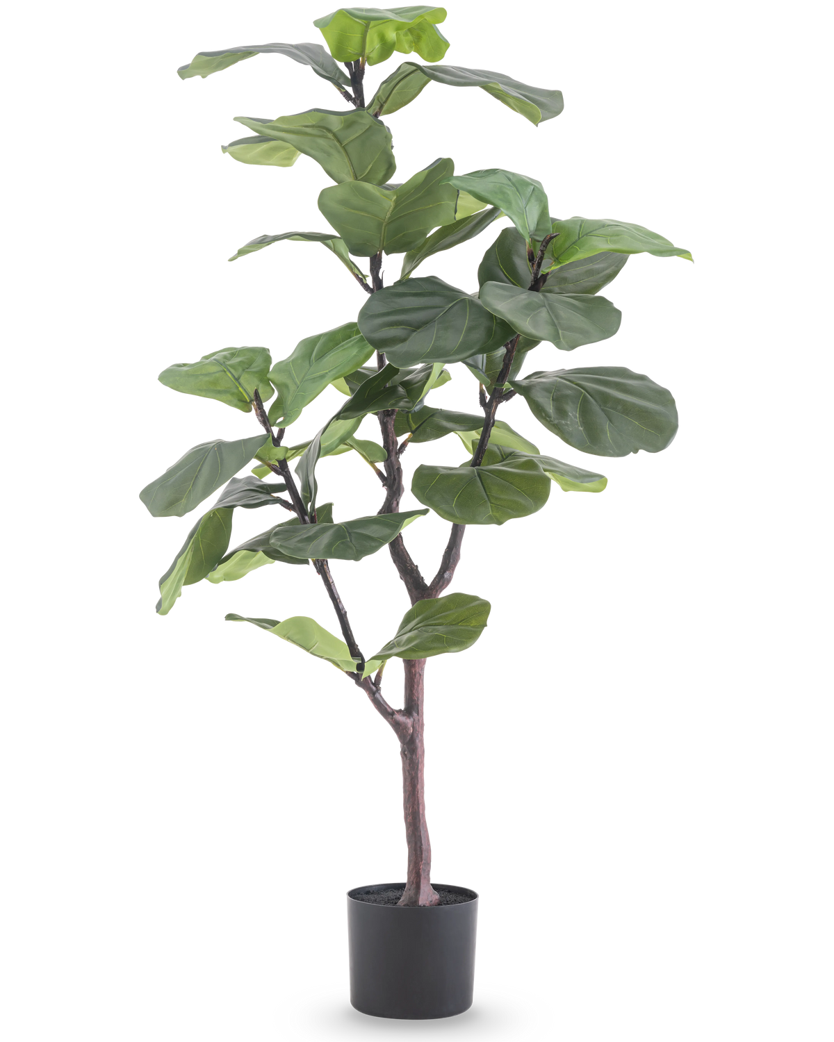 La plante artificielle Ficus Tobacco Plant Deluxe 125 cm a de grandes feuilles vertes brillantes et une fine tige brune dans un pot noir, qui ajoute une atmosphère africaine en tant que plante d'intérieur verte sur fond blanc.