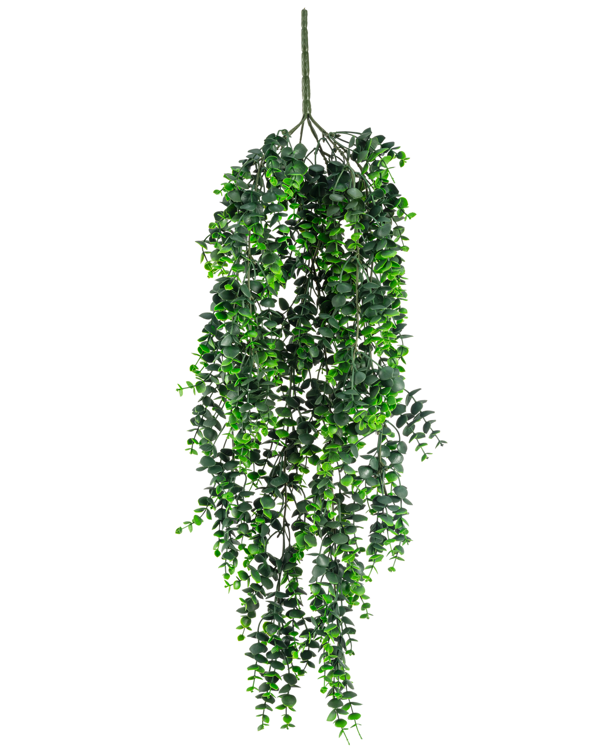 La plante artificielle suspendue Eucalyptus UV 80 cm possède des feuilles vertes denses en cascade et une tige visible au sommet, sur un fond blanc uni.