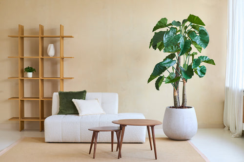 Un salon moderne avec un canapé blanc, des coussins verts et beiges, deux tables basses rondes en bois, une plante artificielle Alocasia 180 cm et une étagère en bois au décor minimaliste contre un mur beige.