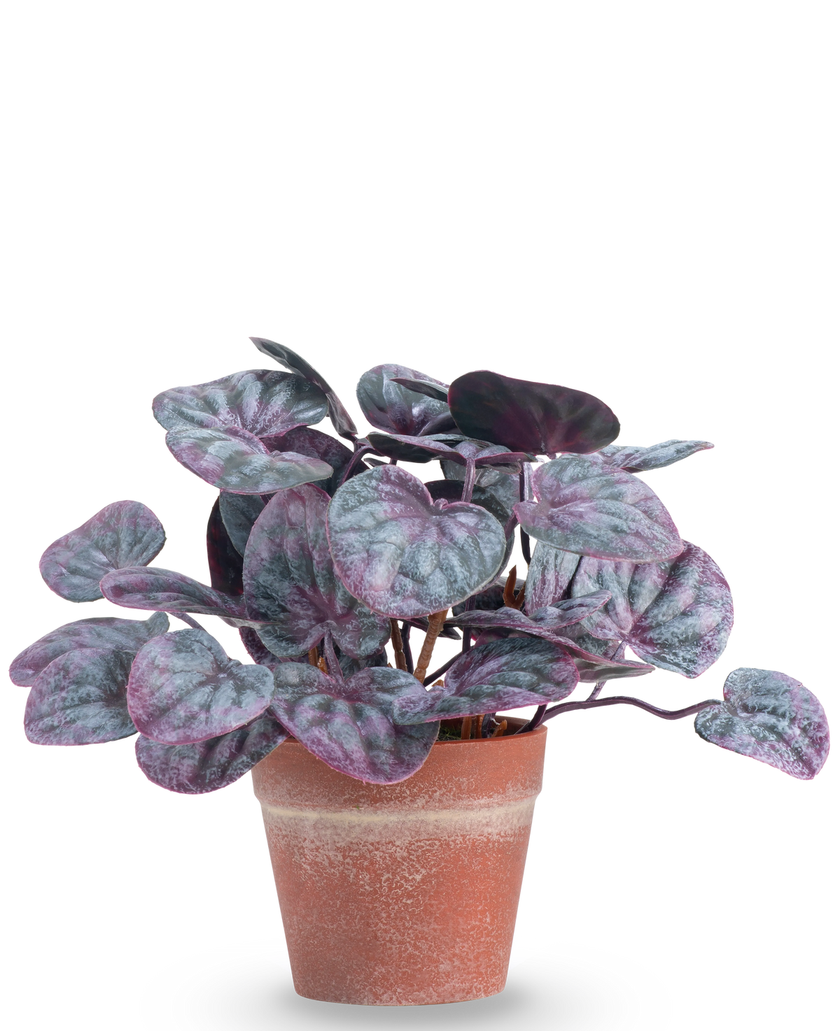 La Plante Artificielle Rugose feuille 16 cm gris est une plante artificielle aux feuilles rondes et colorées dans les tons violets et verts dans un pot en terre cuite sur un fond uni blanc.