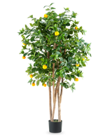 Un grand oranger artificiel appelé "Oranger artificiel 150 cm" avec plusieurs troncs bruns, des feuilles vertes vibrantes et plusieurs fruits orange vif dans un simple pot noir sur un fond blanc uni.