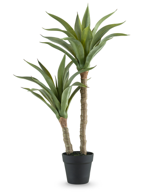 La Plante Artificielle Agave 76 cm possède deux tiges longues et épaisses avec de longues feuilles vertes pointues dans un pot noir, sur un fond blanc uni.