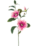 La Fleur Artificielle Magnolia 82 cm rose/blanc a une seule tige avec deux grandes fleurs de magnolia rose-blanc, un bourgeon et plusieurs feuilles vert foncé, sur un fond uni blanc.