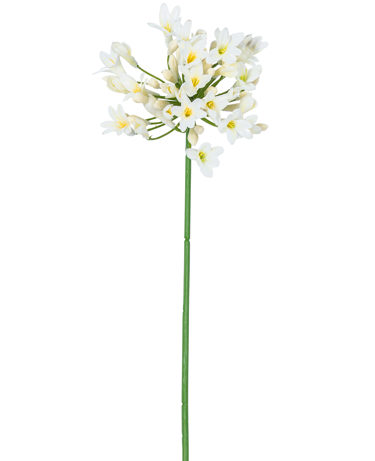 La Fleur Artificielle Agapanthe 77 cm blanche possède une seule haute tige verte avec un bouquet de petites fleurs blanches au cœur jaune, sur un fond uni blanc.