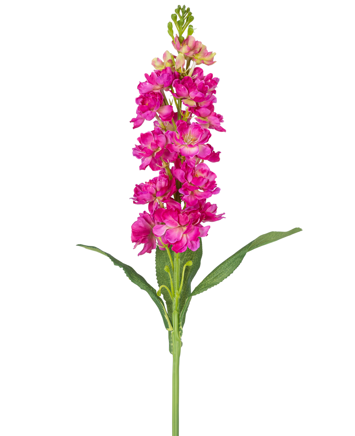 Une seule fleur artificielle Violier de 78 cm fuchsia avec plusieurs fleurs roses vibrantes et feuilles vertes sur un fond blanc uni.