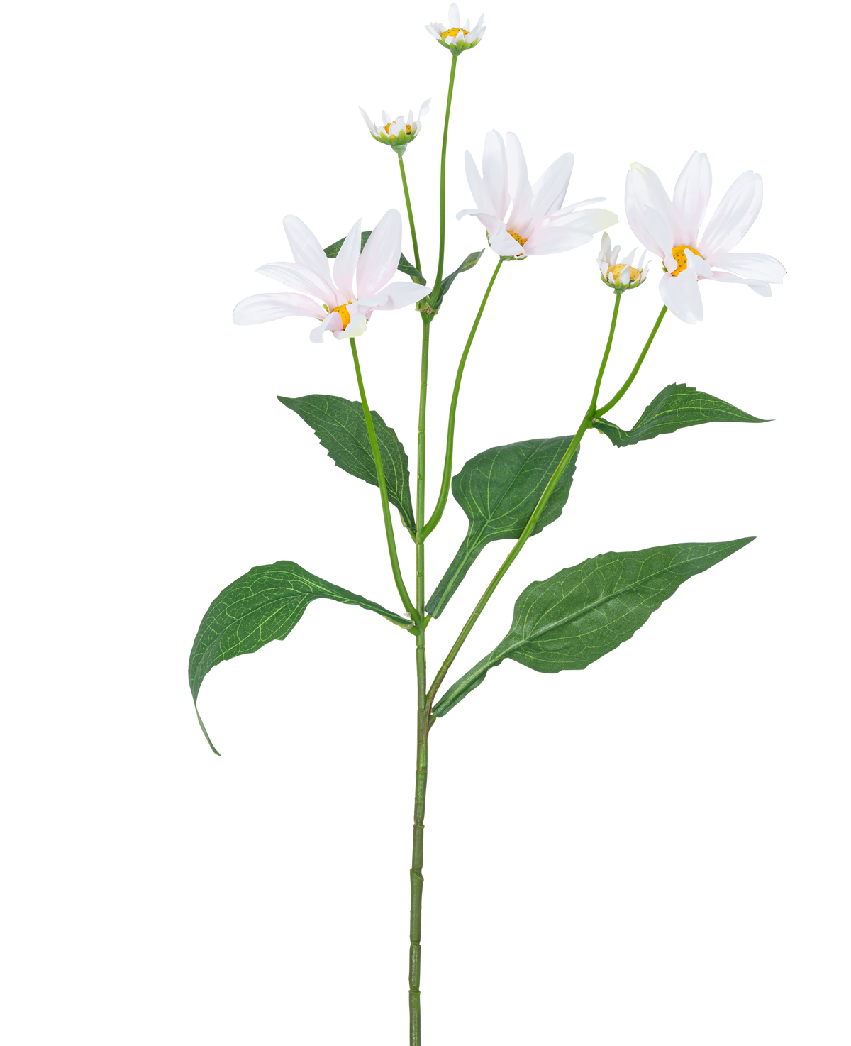 La Fleur Artificielle Madelief 76 cm blanche possède une seule tige verte avec plusieurs grandes feuilles et cinq fleurs blanches ressemblant à des marguerites avec un cœur jaune, sur un fond blanc uni.