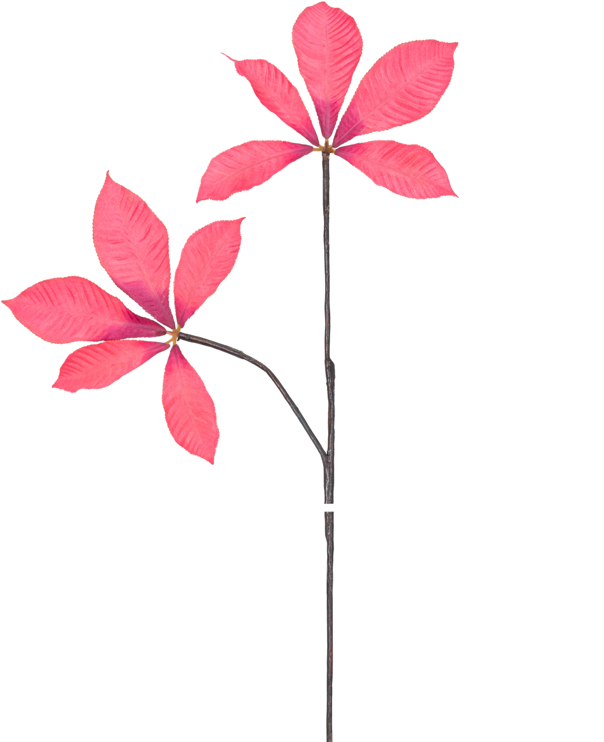 Une illustration numérique de Kunsttak Chestnut Leaf 63 cm rouge montre deux tiges longues et fines avec des grappes de cinq feuilles rose vif, sur un fond blanc uni.