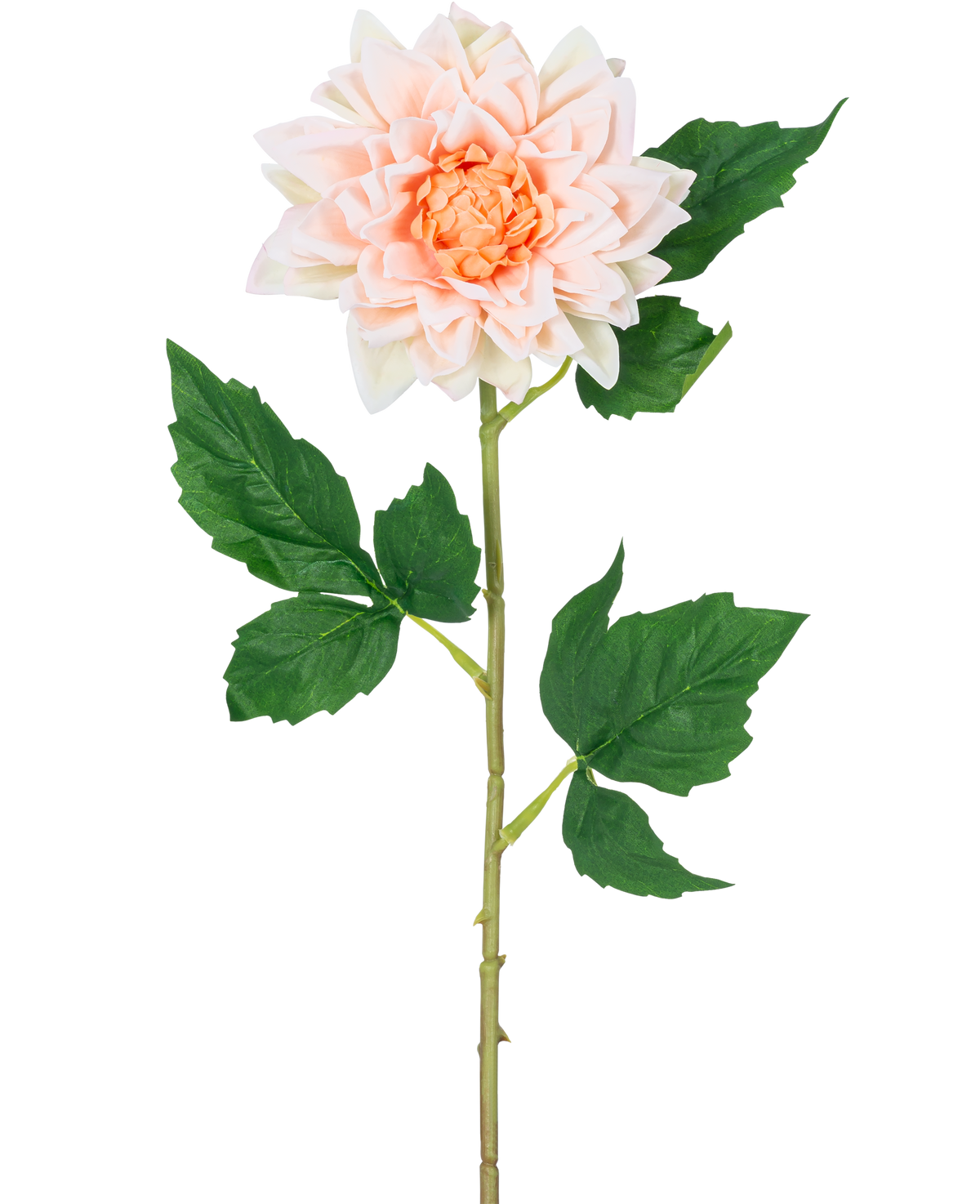 La Fleur Artificielle Dahlia Real Touch champagne 54 cm a une tige unique avec une légère fleur de dahlia champagne en pleine floraison et des feuilles vertes, représentées sur un fond blanc.