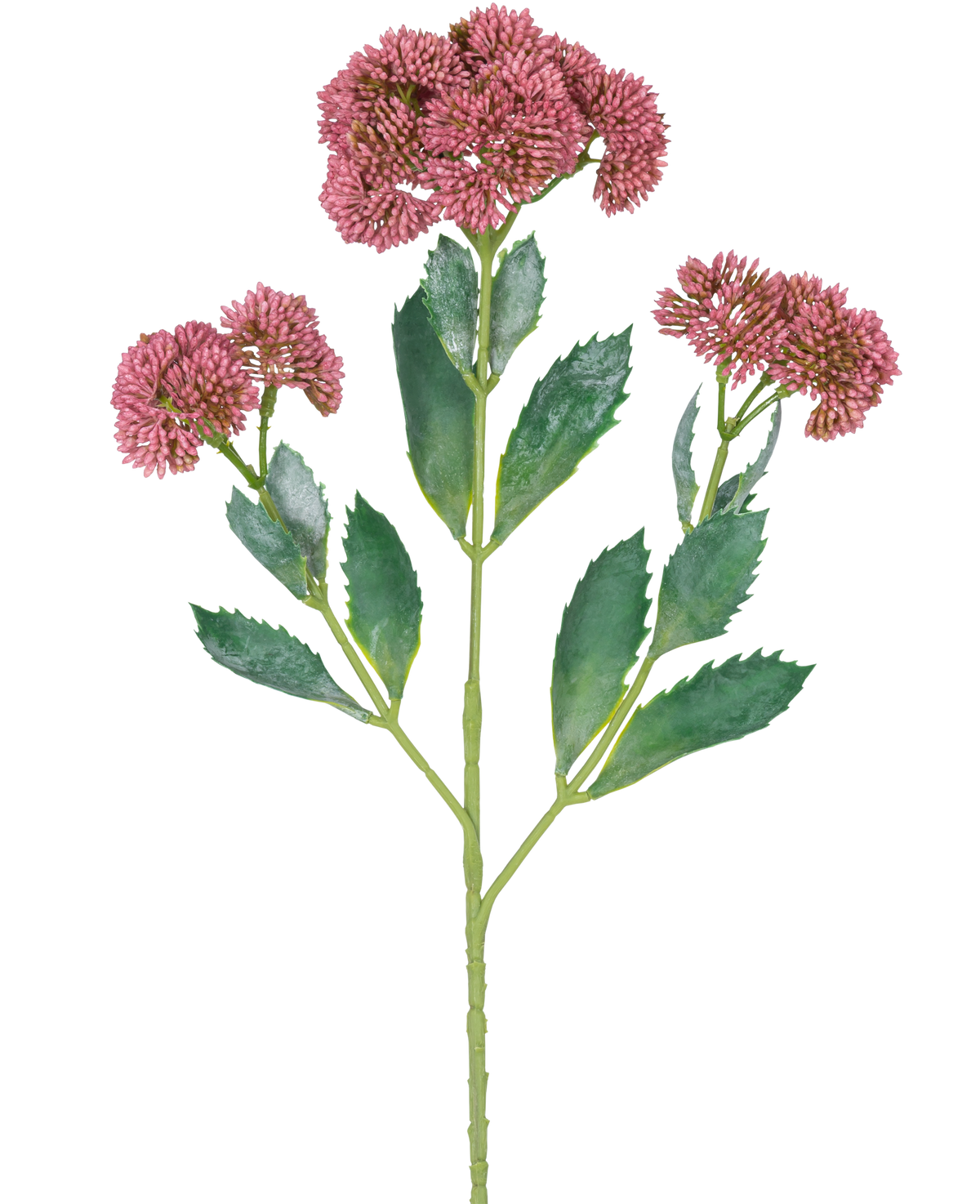Une illustration numérique de la branche artificielle Sedum 48 cm rouge montre une plante à fleurs avec des feuilles vertes et des bouquets de petites fleurs rose-violet sur des tiges ramifiées, sur un fond blanc.