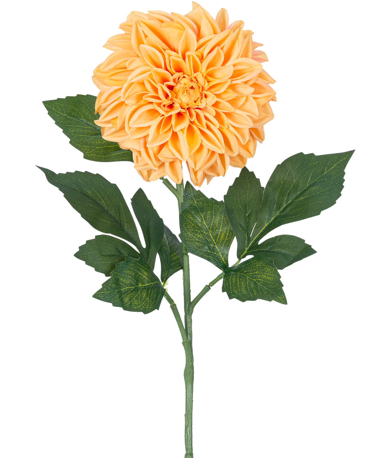 Une seule fleur artificielle Dahlia Real Touch Peach, de 72 cm de haut, a plusieurs feuilles vertes et une grande fleur pleine de couleur pêche sur un fond blanc uni.