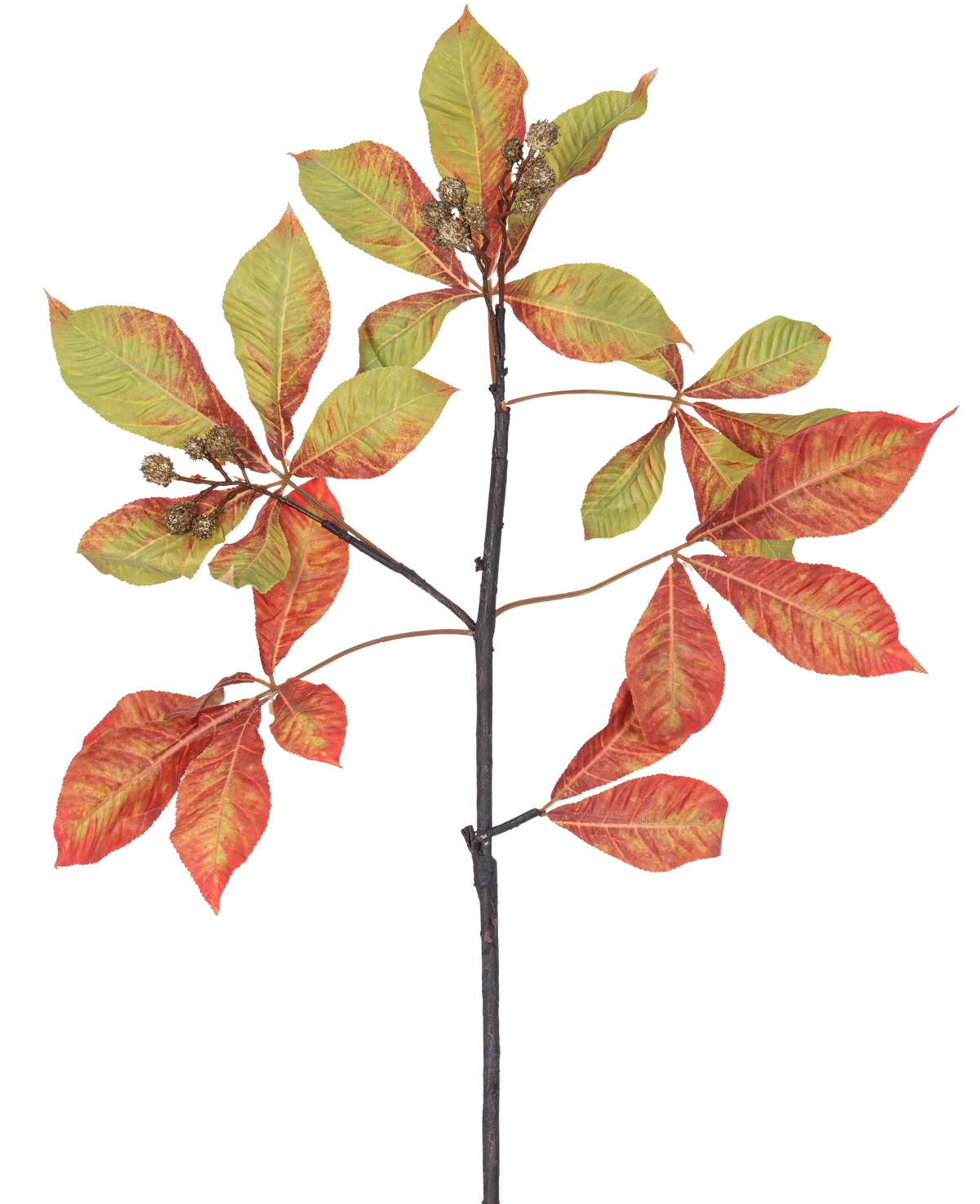 Une branche de châtaignier artificielle de 91 cm, branche rouge/verte avec des grappes de feuilles rouges et vertes, certaines avec des bords bruns, ainsi que de petites gousses brunes sur un fond blanc.