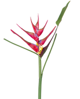 Une seule tige de la fleur artificielle Heliconia 90 cm fuchsia, une plante artificielle tropicale aux longues feuilles vertes, sur fond blanc.