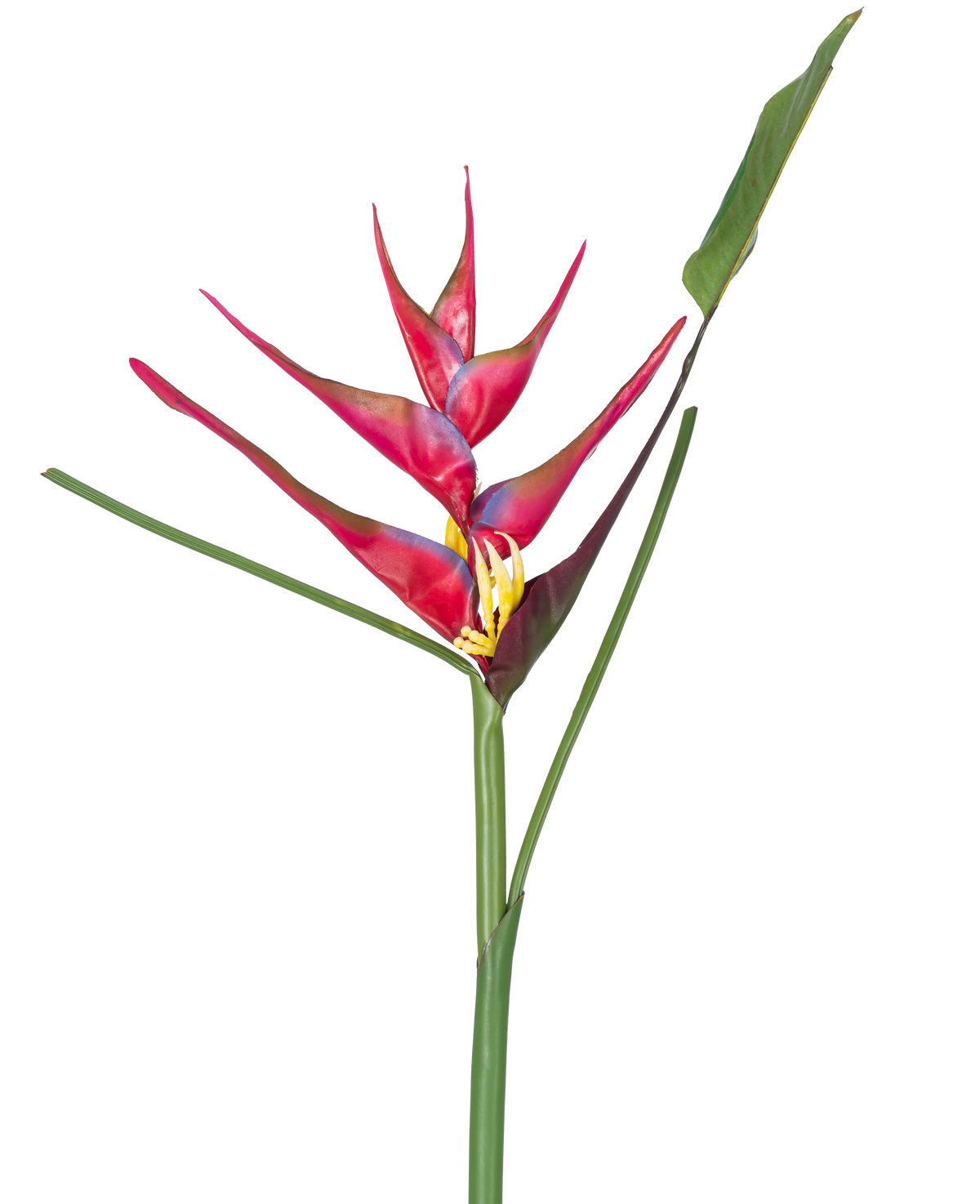 Une seule tige de la fleur artificielle Heliconia 90 cm fuchsia, une plante artificielle tropicale aux longues feuilles vertes, sur fond blanc.