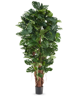 Plante artificielle Philodendron de 230 cm avec de grandes feuilles vertes brillantes dans un pot noir, présentée sur un fond blanc uni.