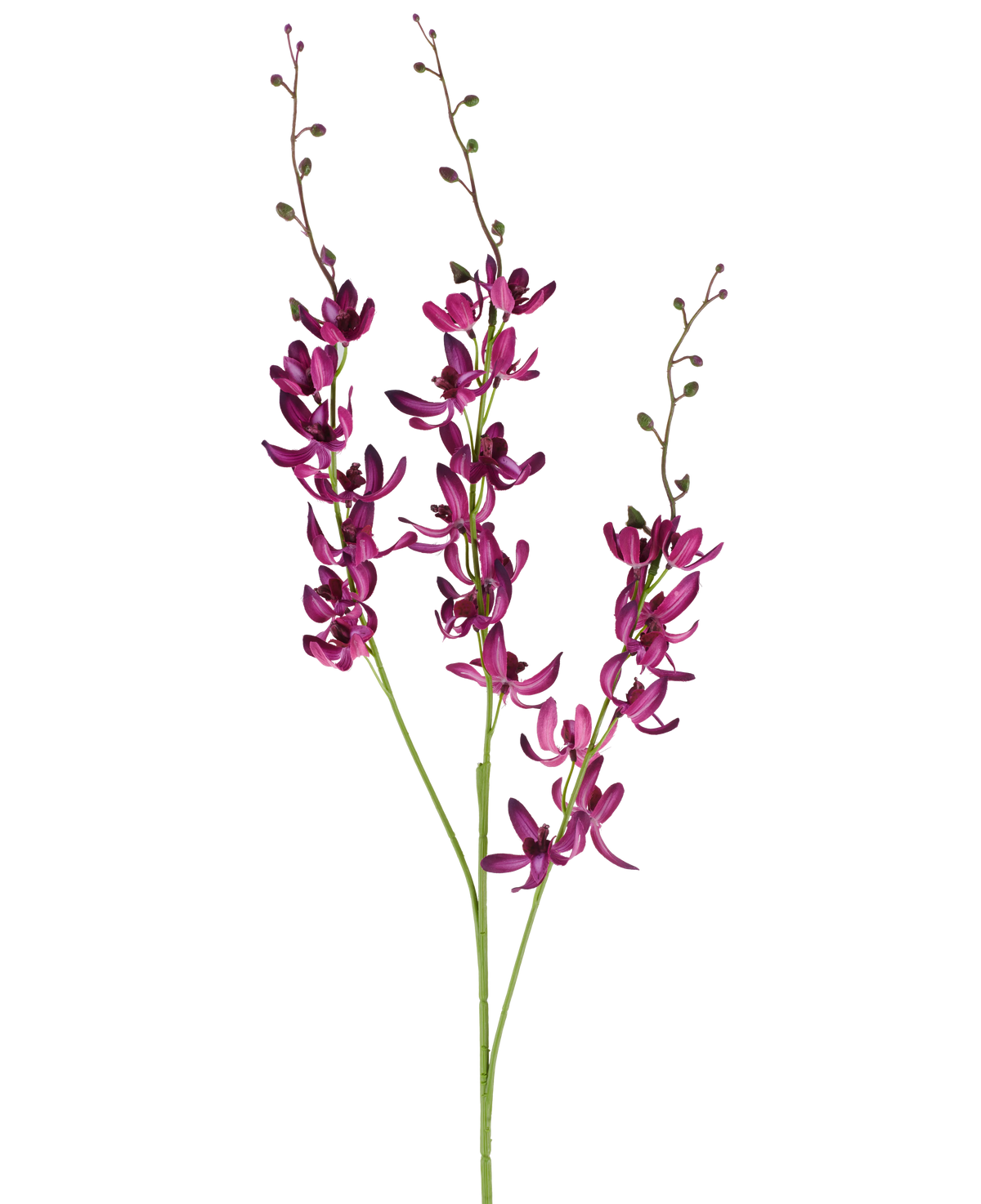 Trois longues tiges de fleur artificielle de Cymbidium de 95 cm de couleur violet vif, avec de petits bourgeons verts, sur un fond blanc uni.