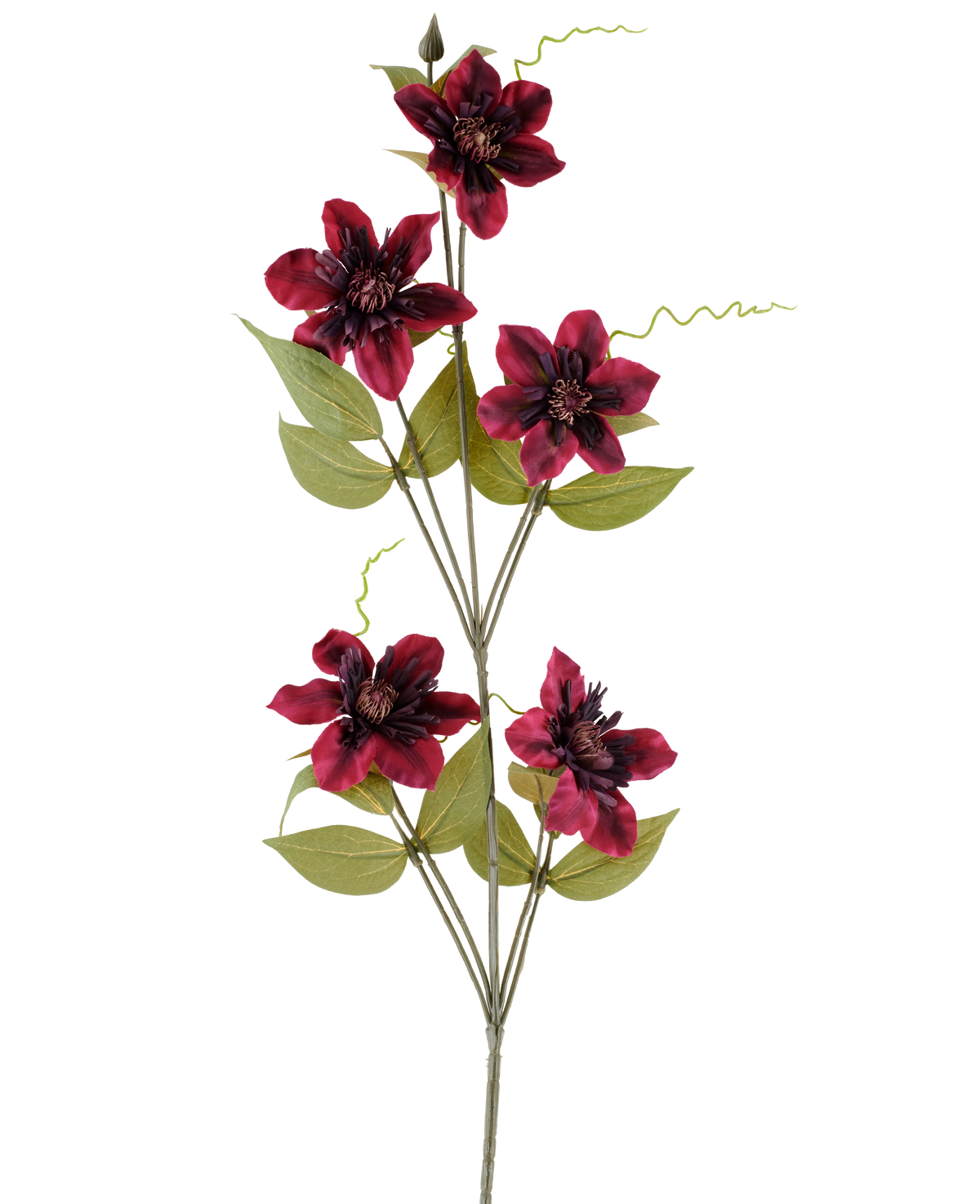Une seule fleur artificielle Clematis 78 cm bordeaux, une tige artificielle, se compose de cinq fleurs de couleur bordeaux rouge foncé avec des centres sombres, entourées de feuilles vertes et de vrilles enroulées, sur un fond blanc uni.