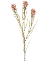 Une seule fleur artificielle en cire de 78 cm en vieux rose a une tige verte avec trois branches, chacune portant de petites fleurs délicates vieux rose et de fines feuilles en forme d'aiguilles, disposées sur un fond blanc uni.