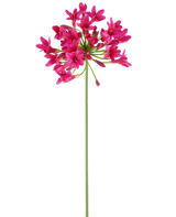 Une seule et longue tige verte de la fleur artificielle Agapanthus 75 fuchsia porte une grappe de fleurs rose vif au sommet, se détachant sur un fond blanc uni.