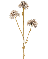 Trois tiges brunes de la fleur artificielle Mini Allium 60 cm crème/marron s'étendent vers le haut, chacune avec une grappe ronde de petits boutons subtils crème et marron à l'extrémité sur un fond blanc uni. L’ensemble semble minimaliste et naturel.