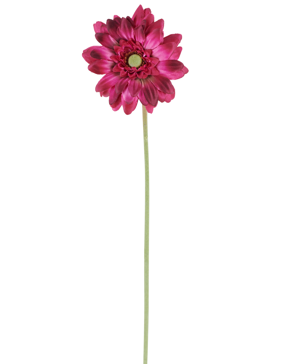 Une seule fleur artificielle Mini Gerbera de 47 cm de couleur rose foncé avec des pétales superposés et un cœur vert sur une longue et mince tige verte, isolée sur un fond blanc.