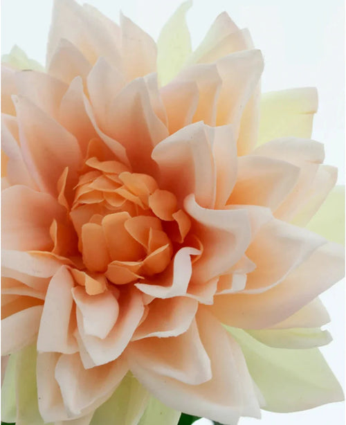 Gros plan de la Fleur Artificielle Dahlia Real Touch champagne, une fleur artificielle de 54 cm avec des pétales doux et superposés de couleur pêche et de subtils accents jaune clair en fond.
