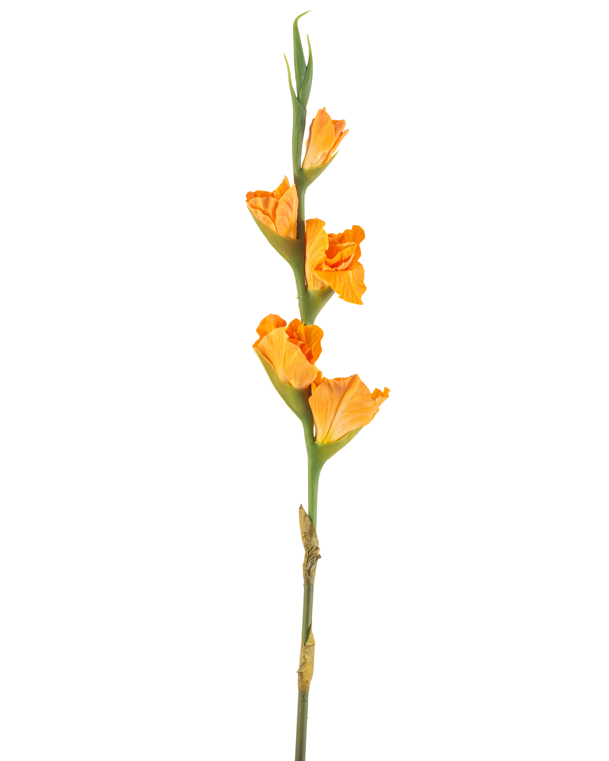 La Fleur Artificielle Glaïeul 83 cm orange possède une longue tige verte avec plusieurs fleurs de glaïeul orange sur fond blanc.
