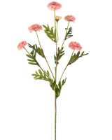 La fleur artificielle Pompon chrysanthème 69 cm rose a une seule tige avec plusieurs fleurs pompon rondes rose clair et des feuilles vertes ressemblant à des fougères sur un fond blanc.