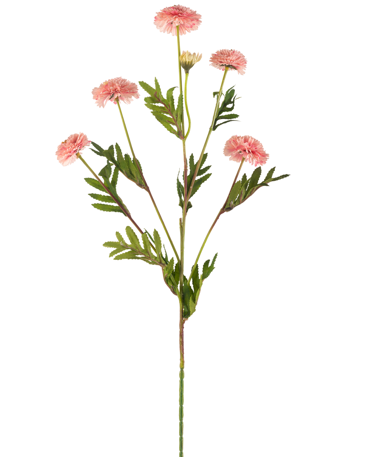 La fleur artificielle Pompon chrysanthème 69 cm rose a une seule tige avec plusieurs fleurs pompon rondes rose clair et des feuilles vertes ressemblant à des fougères sur un fond blanc.
