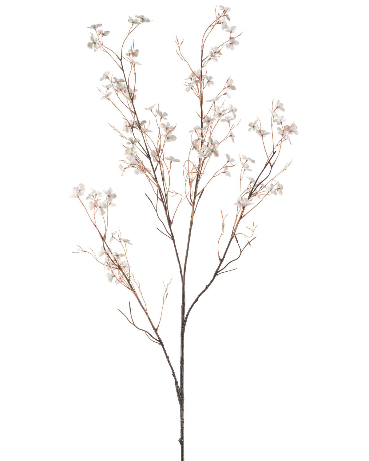 Une fleur artificielle Flowers 130 cm bleu clair a de délicates branches artificielles avec de fines tiges brunes et de petites fleurs bleu clair sur un fond blanc uni.