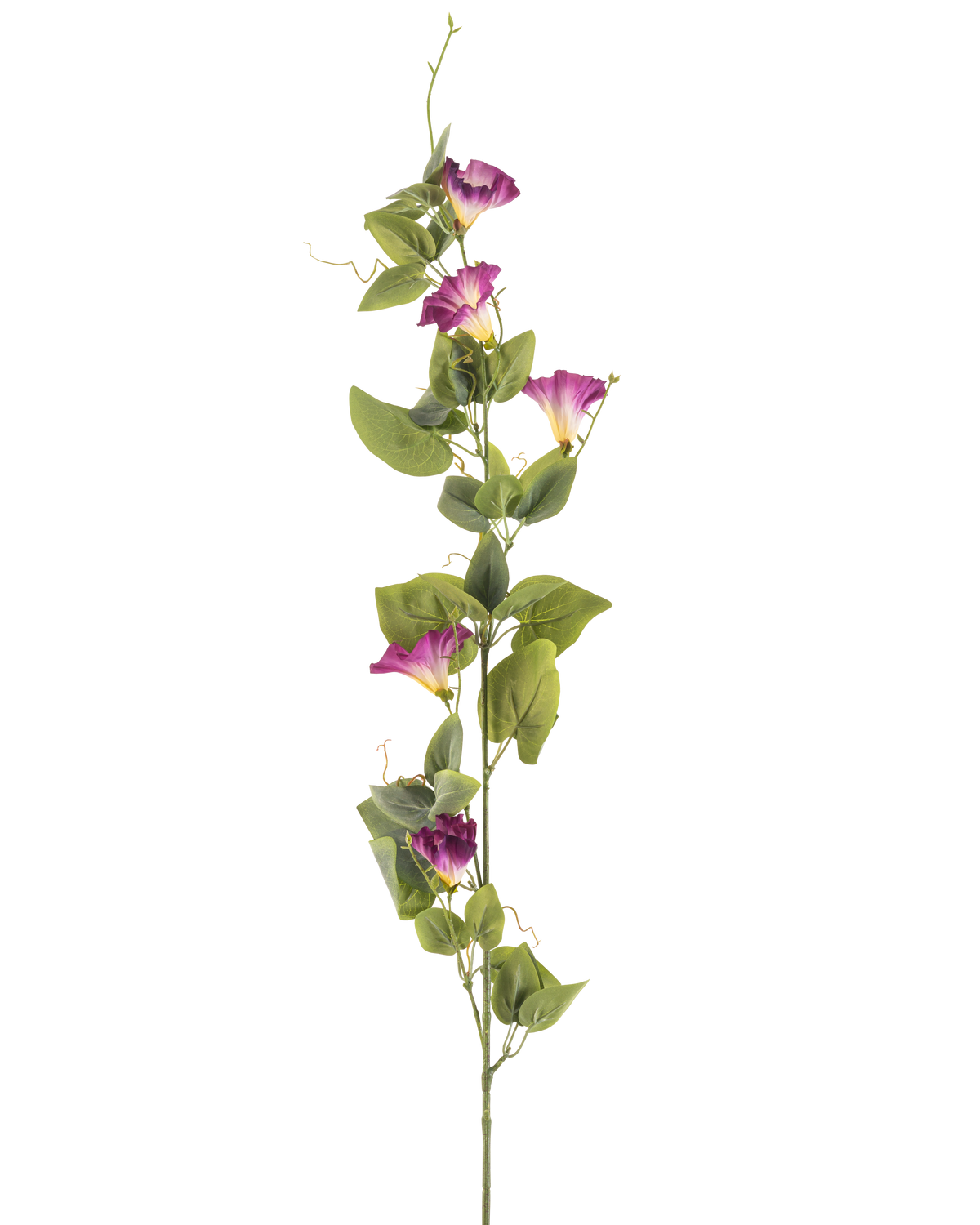 La fleur artificielle de liseron mauve de 122 cm a une seule tige verte haute avec de multiples fleurs de gloire du matin mauves et blanches et des feuilles vertes sur toute sa longueur, sur un fond blanc.