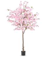 La plante de fleurs de cerisier artificielles 240 cm a un tronc marron avec de nombreuses branches ornées de fleurs roses et quelques feuilles vertes, placées dans un pot noir sur un fond blanc uni.