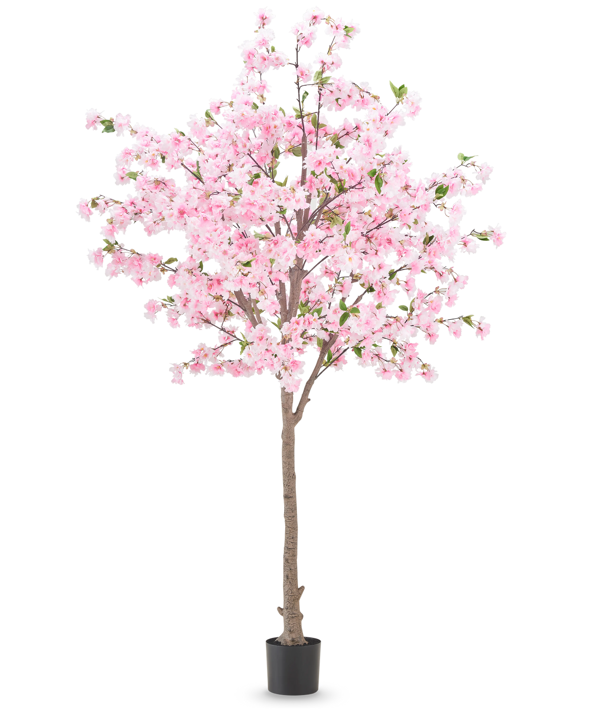 La plante de fleurs de cerisier artificielles 240 cm a un tronc marron avec de nombreuses branches ornées de fleurs roses et quelques feuilles vertes, placées dans un pot noir sur un fond blanc uni.