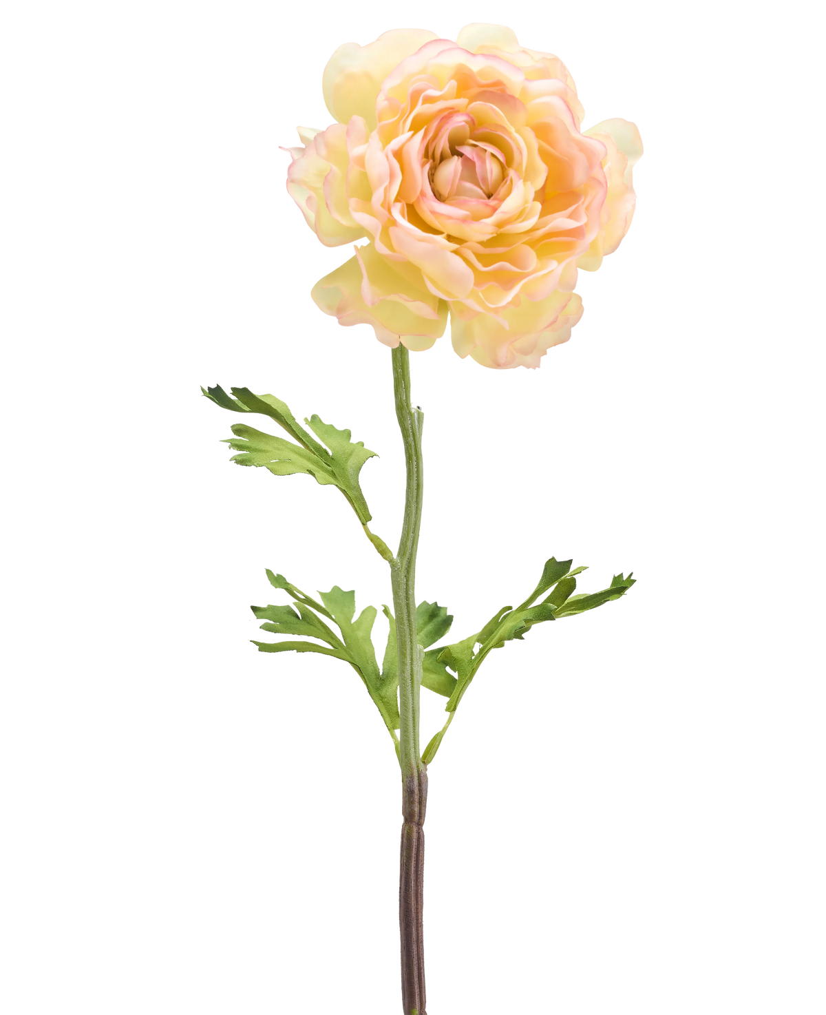 Une fleur artificielle de renoncule de 51 cm blanc clair : une seule fleur de renoncule artificielle pâle avec des pétales blanc clair, des feuilles vertes et une longue tige sur un fond blanc.