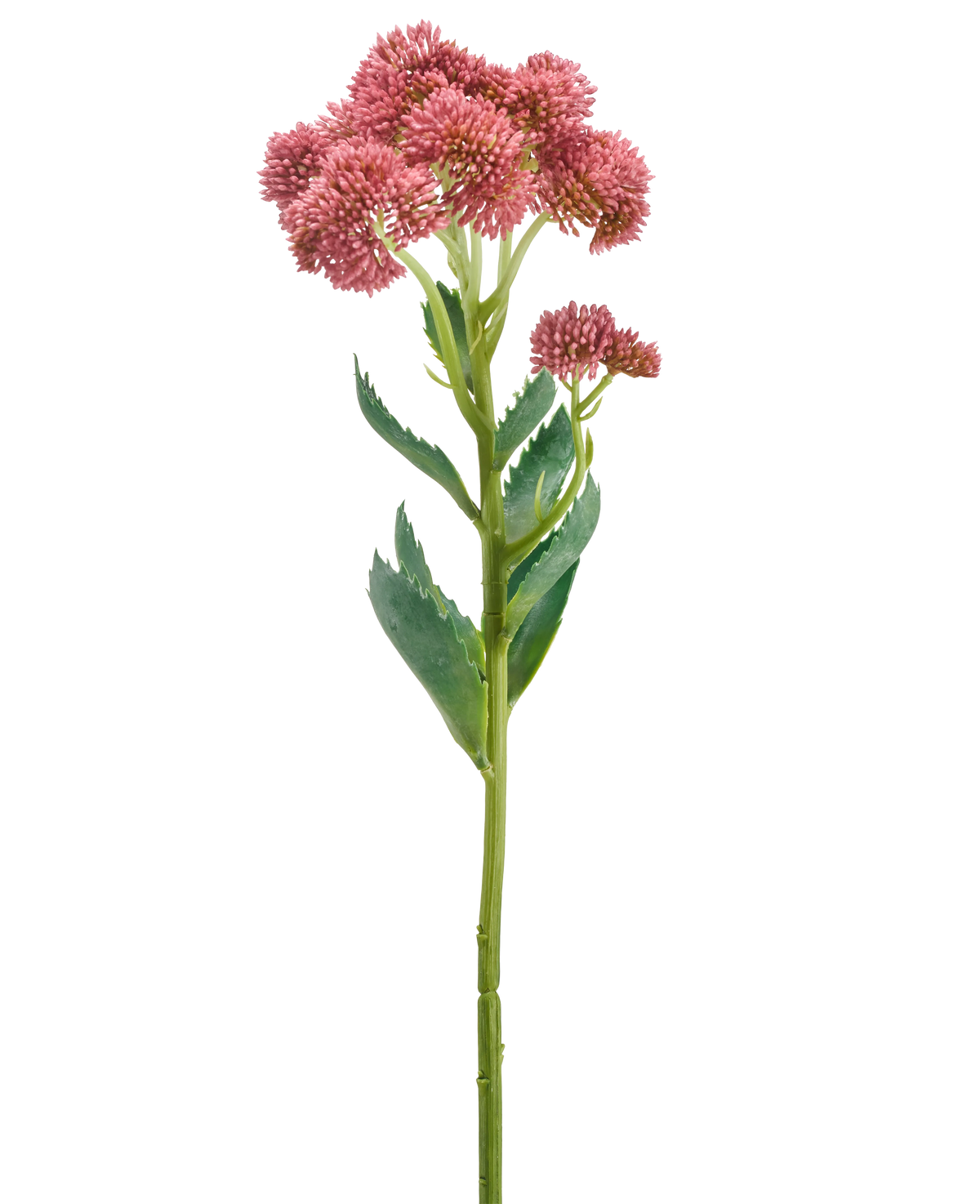 Une seule tige de la fleur artificielle Sedum 57 cm mauve présente des bouquets de petites fleurs mauves en forme d'étoile et des feuilles vertes, représentées sur un fond blanc.