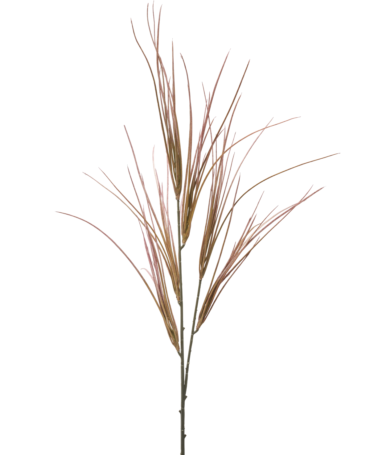 La branche artificielle de 104 cm mauve a une tige unique et haute avec de multiples feuilles longues, fines, mauves et vertes ressemblant à de l'herbe, déployées, isolées sur un fond blanc uni.