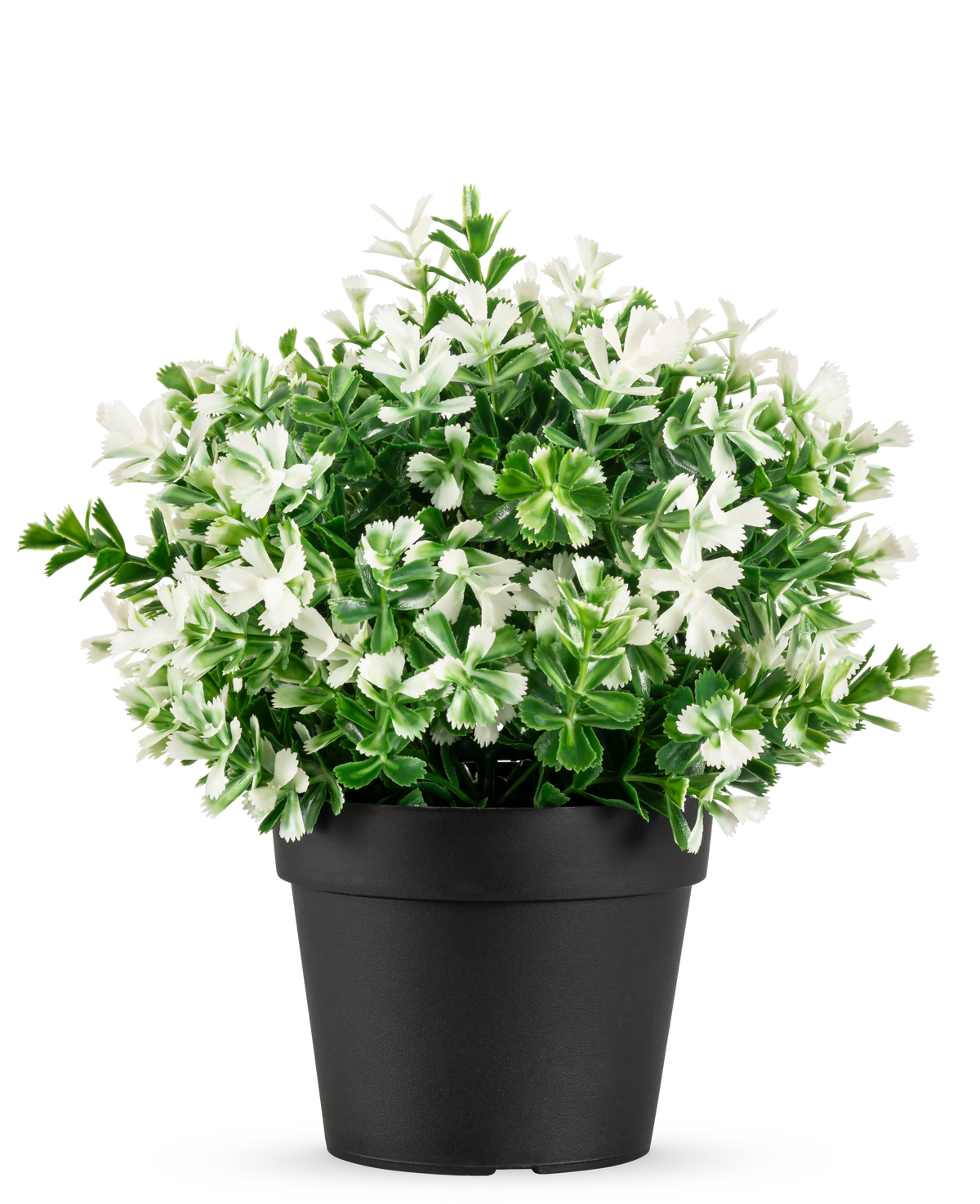 La Plante Artificielle Trèfle à Quatre Feuilles blanc UV 22 cm est un pot de fleurs noir avec des feuilles vertes artificielles et des petites fleurs blanches sur fond blanc uni.