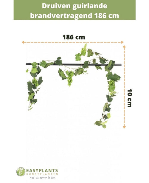 La guirlande de raisin artificiel ignifugé 186 cm mesure 10 cm de haut, avec des feuilles et des raisins verts. Idéal comme décoration végétale artificielle ou guirlande ignifugée. Equipé du texte néerlandais et du logo Easyplants Kunstplanten en bas.