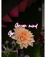 La fleur rose clair de 70 cm de Kunst Georgine Real Touch est mise au point à l'avant et au centre, avec un panneau italique rose néon flou « Esprit ouvert » et diverses fleurs et verdure en arrière-plan.