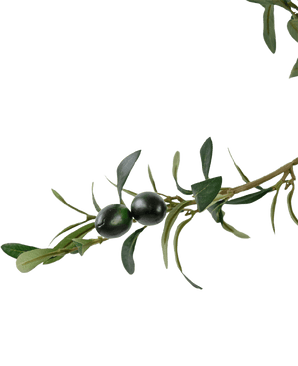 Un gros plan d'une branche feuillue verte avec deux olives foncées, sur un fond blanc uni, souligne le détail réaliste de l'Olivier artificiel UV 180 cm.