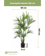 Le Palmier Artificiel Kentia 165 cm est un palmier artificiel de 165 cm de haut et 80 cm de large, placé dans un pot noir de 18x15 cm. Le logo Easyplants est visible en bas de l'image.