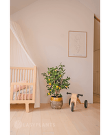 Une chambre d'enfant cosy avec un berceau en bois, la plante artificielle citronnier 90 cm (un citronnier dans un pot avec des feuilles), un petit tricycle en bois du label MIA et une décoration murale minimaliste. Un parquet en bois clair et des tons doux créent une atmosphère paisible.