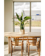 Une pièce lumineuse et moderne avec deux chaises en bois autour d'une table lumineuse. Une plante artificielle Cycus Palm Deluxe de 95 cm ajoute une verdure vibrante à la table, tandis que de grandes fenêtres en arrière-plan remplissent l'espace de lumière naturelle.
