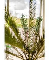 Gros plan sur les feuilles vertes de la plante artificielle Cycus Palm Deluxe 95 cm avec la lumière du soleil qui brille à travers une fenêtre en arrière-plan, créant une atmosphère douce et lumineuse.