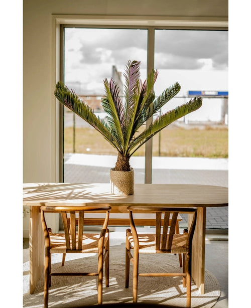 Une table à manger en bois avec deux chaises assorties se trouve près d'une grande fenêtre. Une plante artificielle Cycus Palm Deluxe de 95 cm se dresse sur la table et la lumière du soleil pénètre et projette ses ombres sur les meubles et le sol.