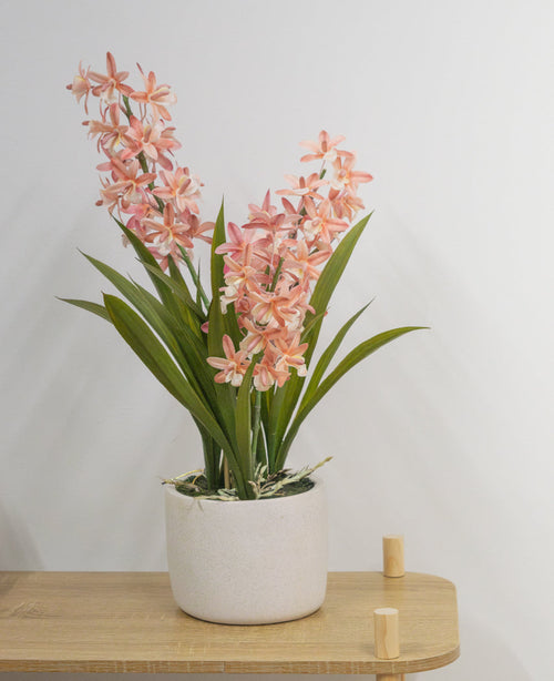 Le Cymbidium artificiel 58 cm rose, une plante verte avec de longues feuilles et de longues tiges avec des fleurs rose clair dans un pot en céramique blanche, se dresse sur une table en bois clair contre un mur blanc uni.