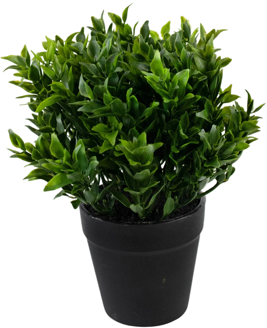 La Plante Artificielle Verte 20 cm en pot est une plante artificielle verte luxuriante avec de petites feuilles pointues dans un simple pot noir, parfaite pour ajouter une verdure vibrante à votre espace.