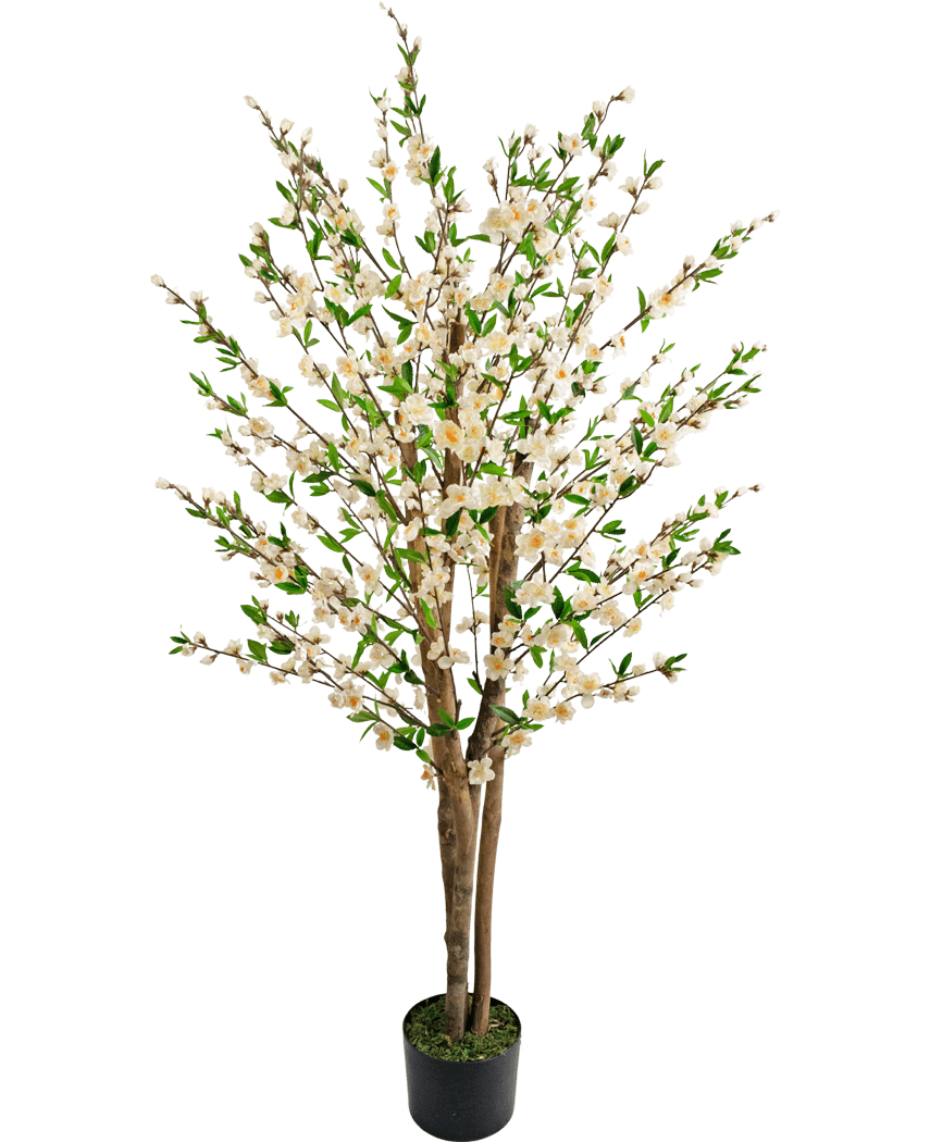 La plante de fleurs de cerisier artificielles 150 cm crème présente de multiples troncs marron, des feuilles vertes et des bouquets de petites fleurs blanches dans un arbre artificiel en pot sur un fond blanc uni.
