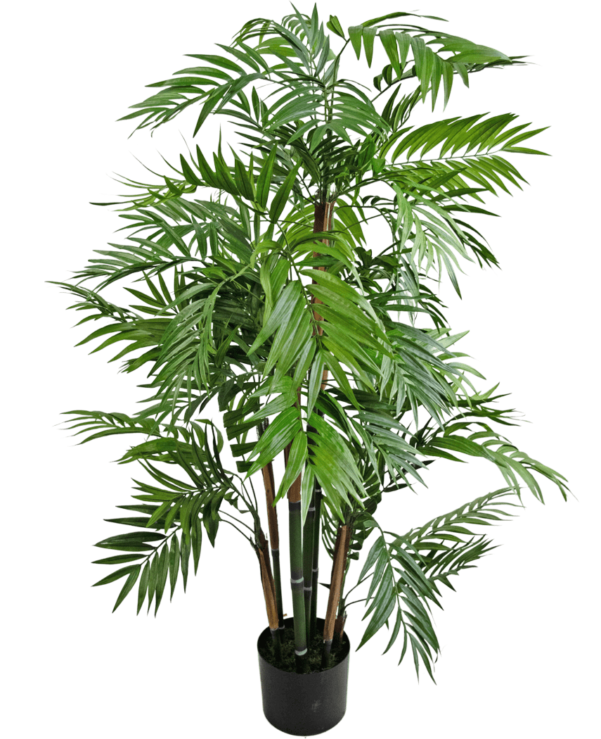 Le salon de plantes artificielles 120 cm est un grand palmier en pot avec de longues feuilles vertes fines et plusieurs tiges brunes, représenté sur un fond blanc uni.